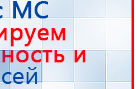Пояс электрод купить в Бийске, Электроды Меркурий купить в Бийске, Медицинская техника - denasosteo.ru